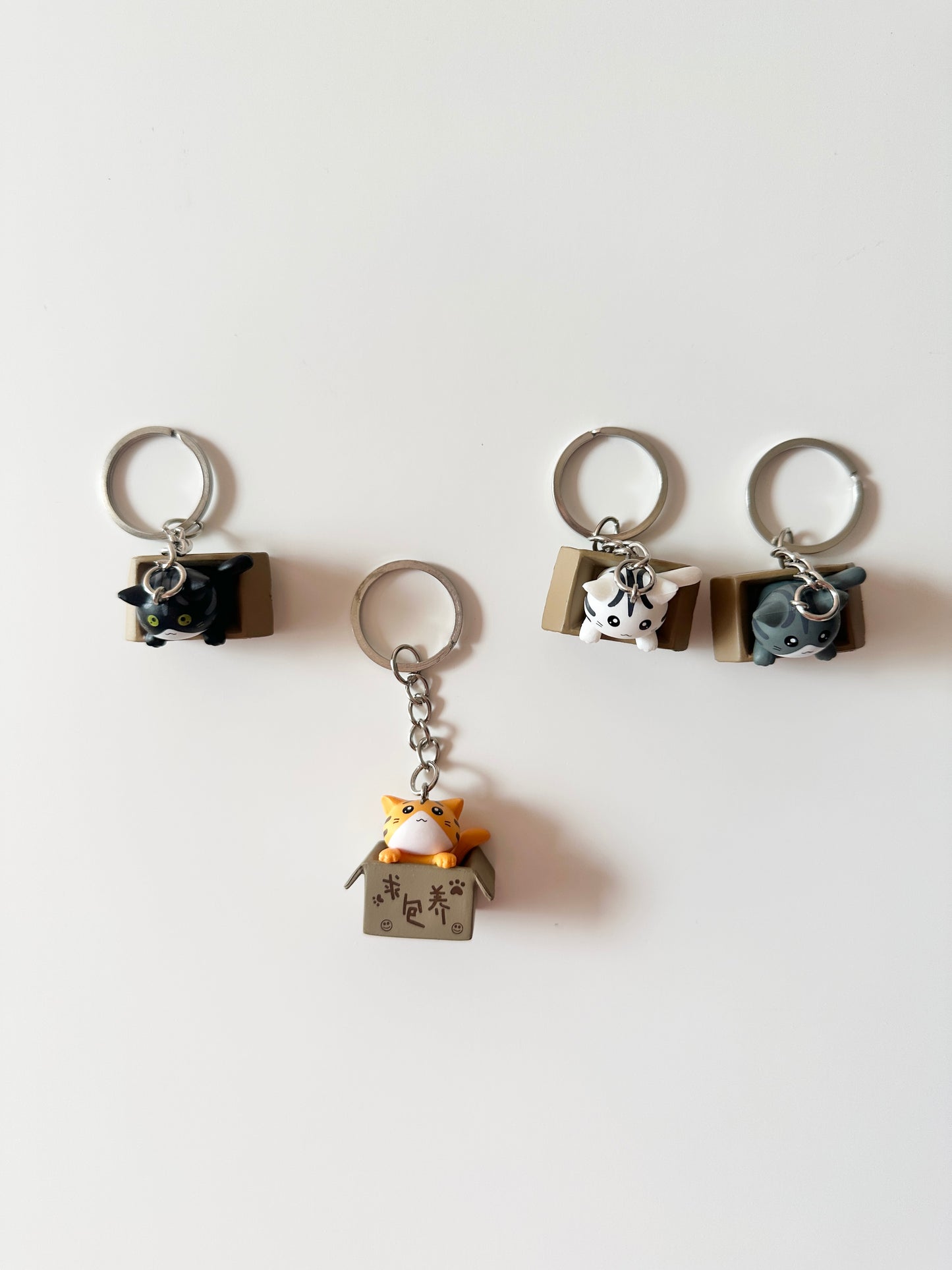 مداليات القطط