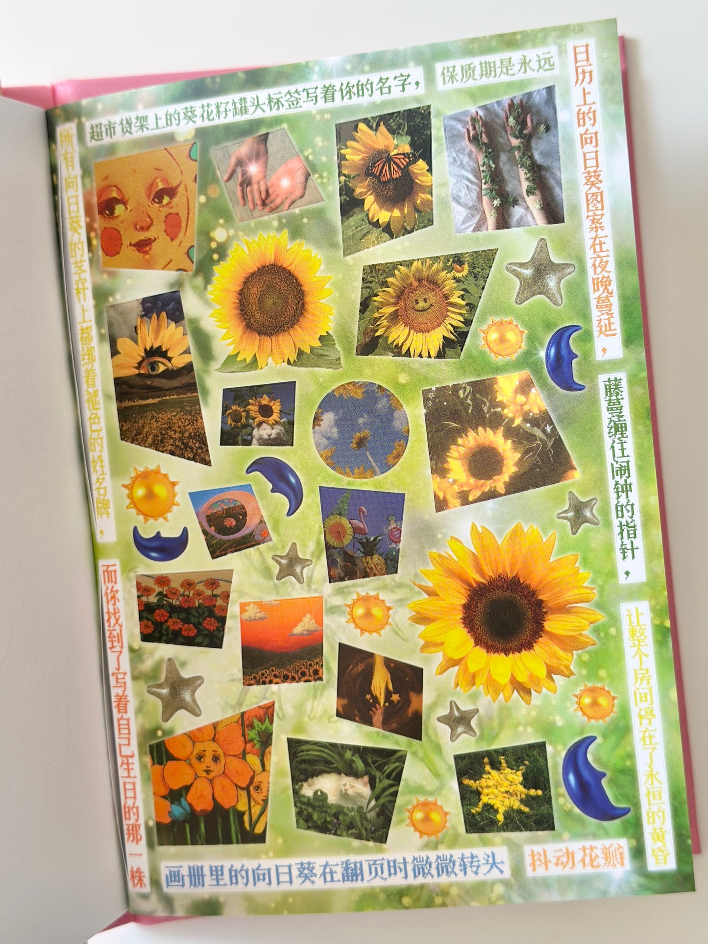 كتيب ملصقات : الحلم النامي