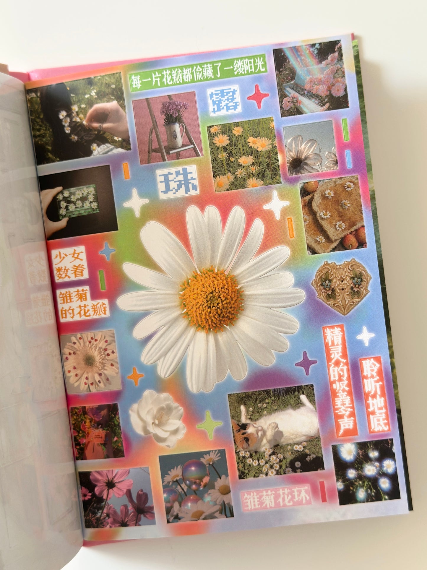 كتيب ملصقات : الحلم النامي