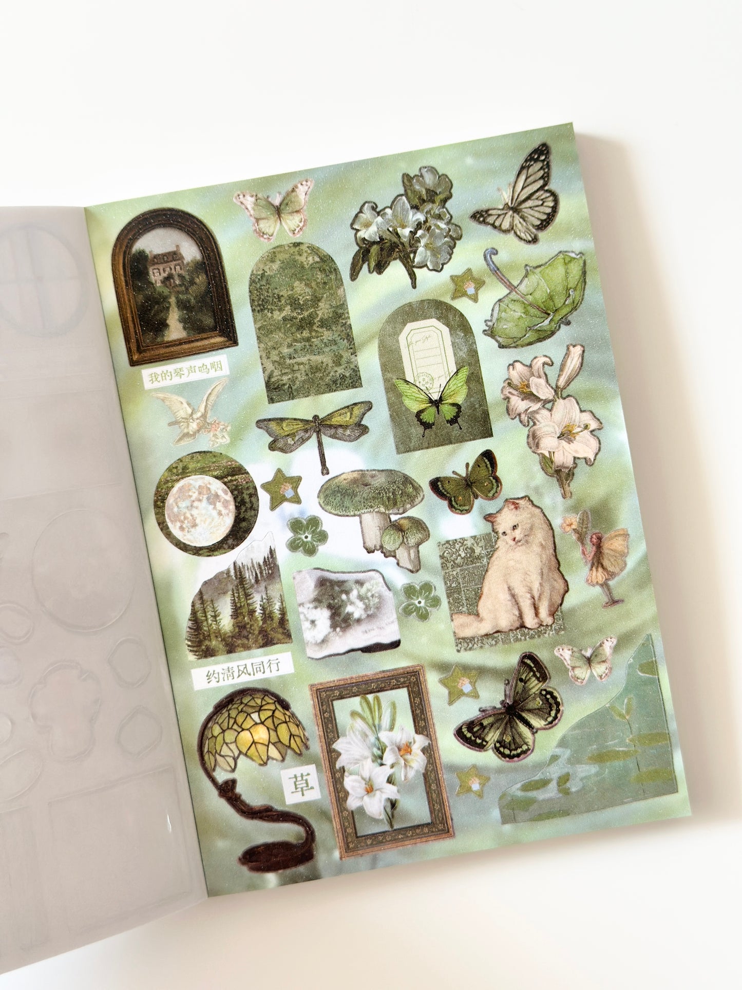 كتيب ملصقات : أحلام قديمة على ضوء النجوم