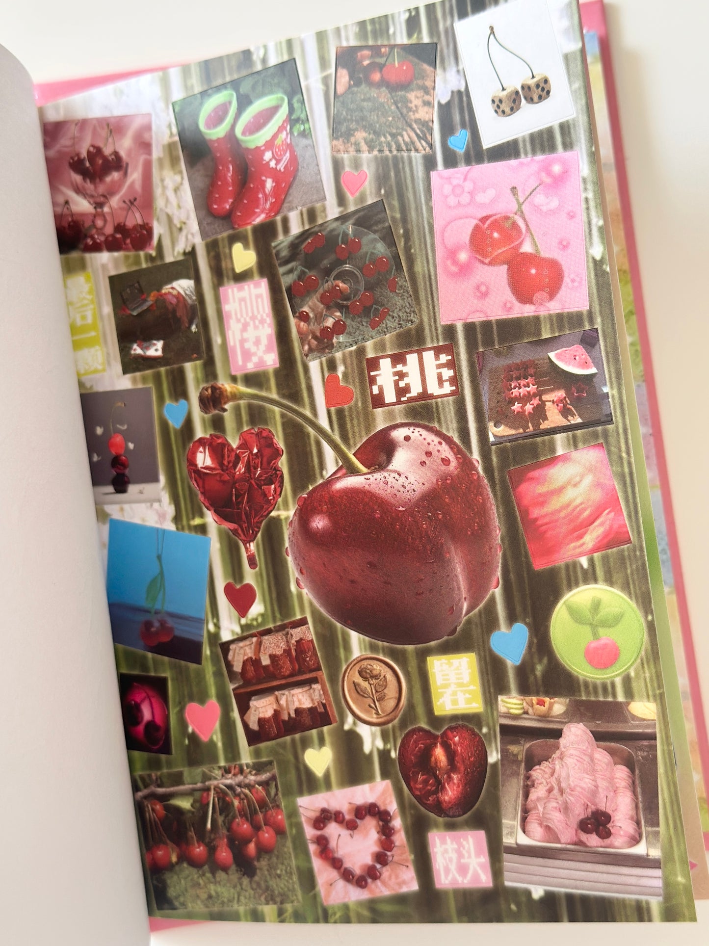 كتيب ملصقات : الحلم النامي