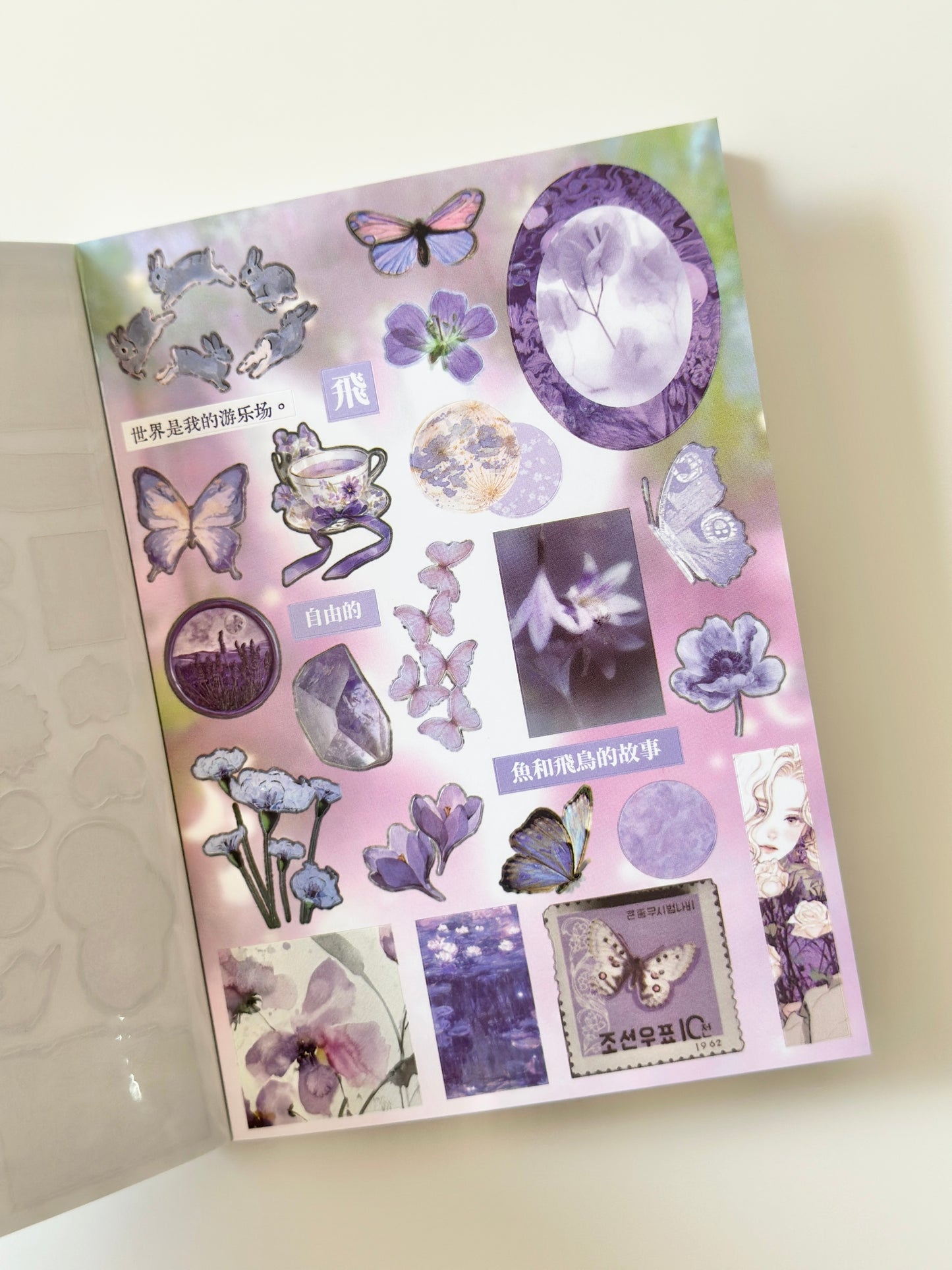 كتيب ملصقات : أحلام قديمة على ضوء النجوم