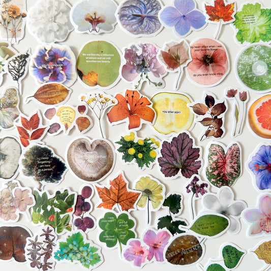 ملصقات مضادة للماء : عينات نباتات