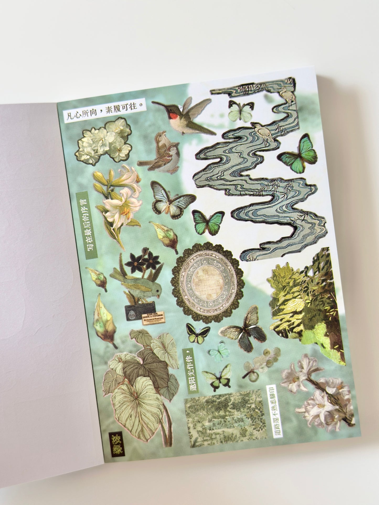 كتيب ملصقات : أحلام قديمة على ضوء النجوم