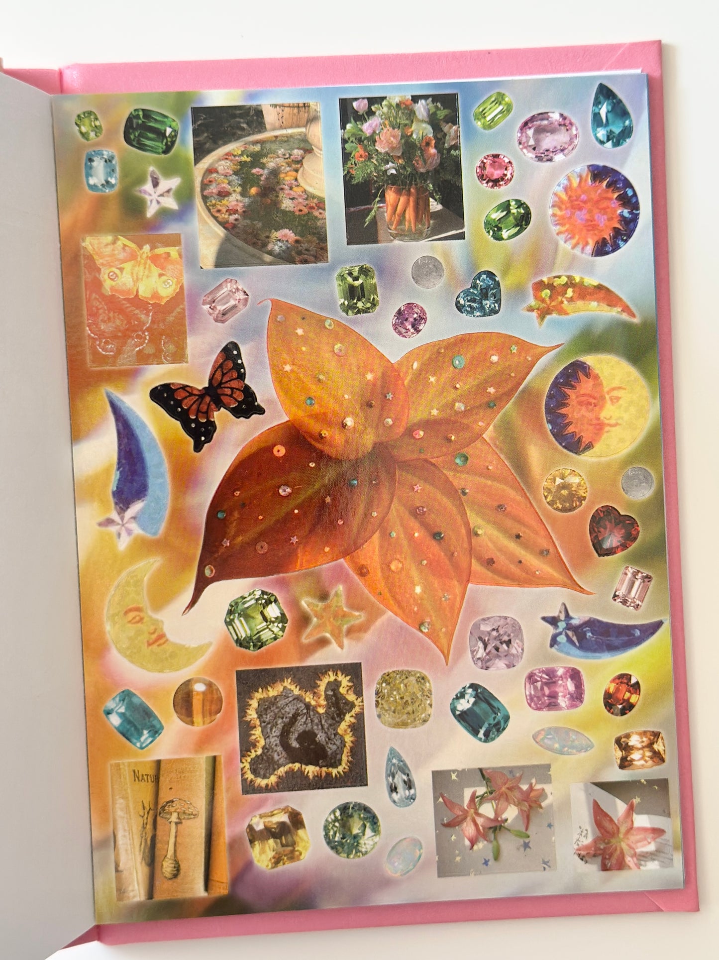 كتيب ملصقات : الحلم النامي