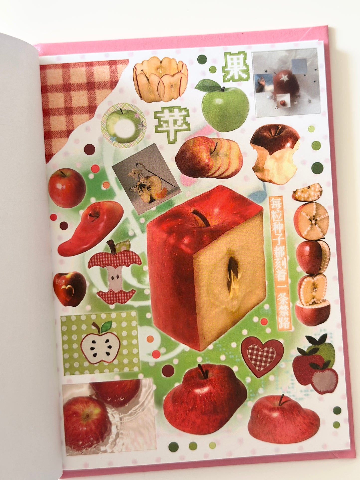 كتيب ملصقات : الحلم النامي