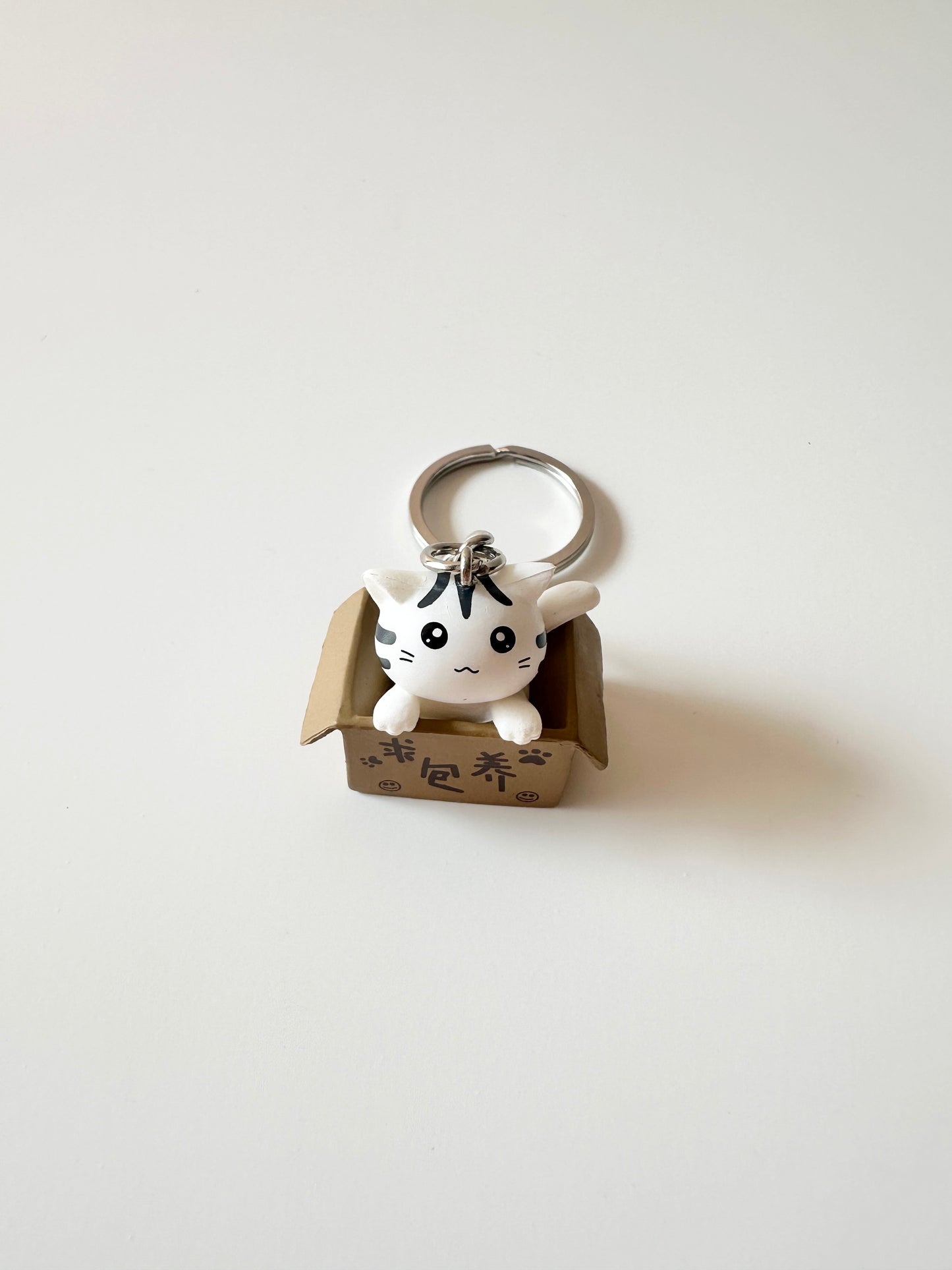 مداليات القطط