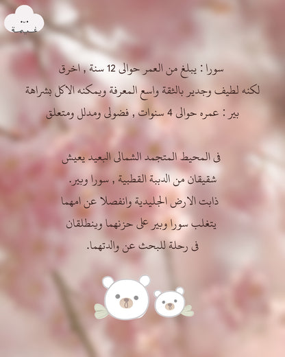 اقلام حبر الاخوان سورا والدب القابلة للمسح