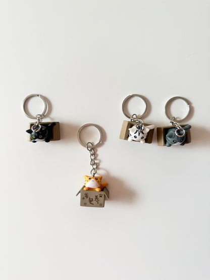 مداليات القطط