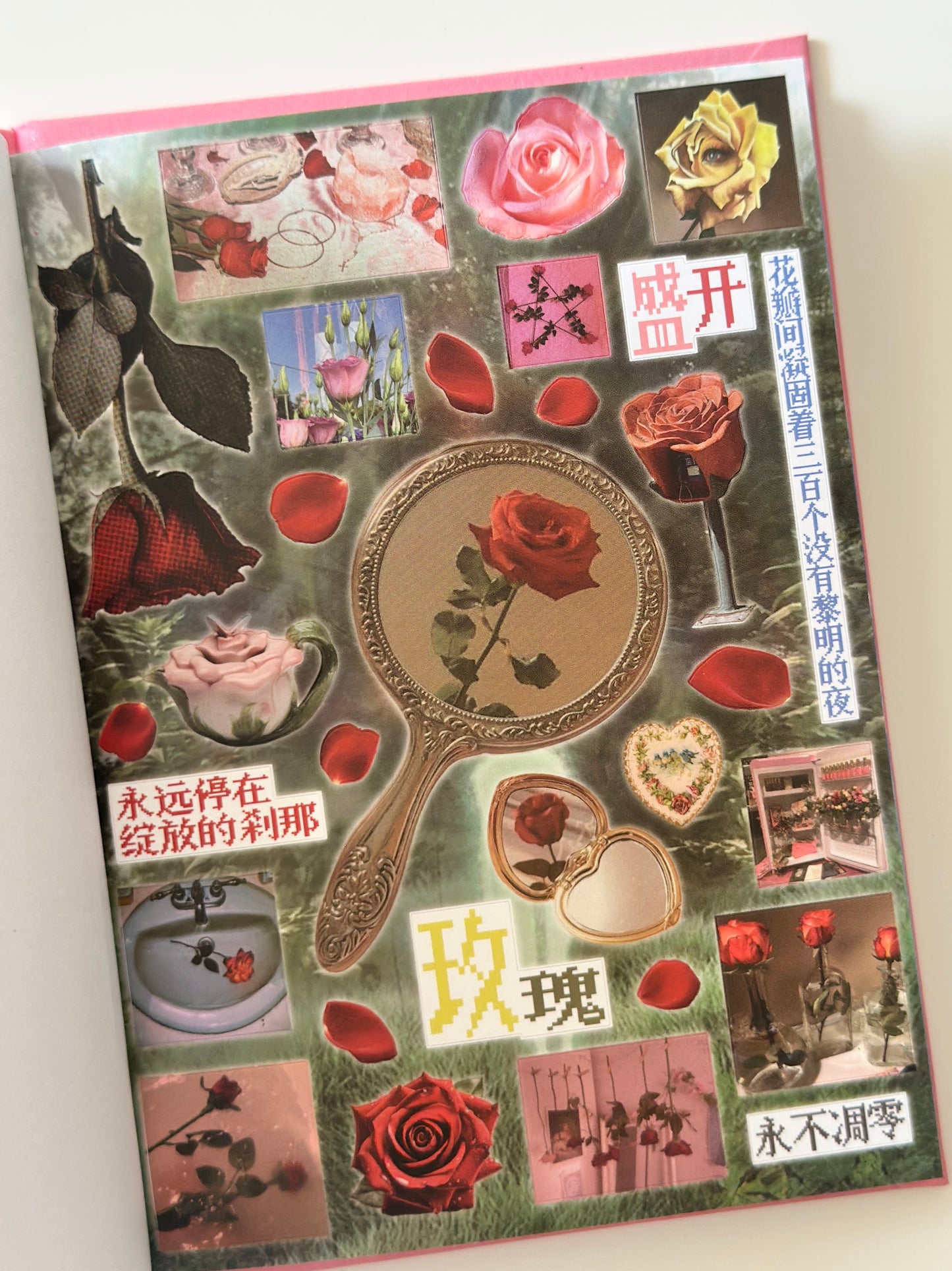 كتيب ملصقات : الحلم النامي